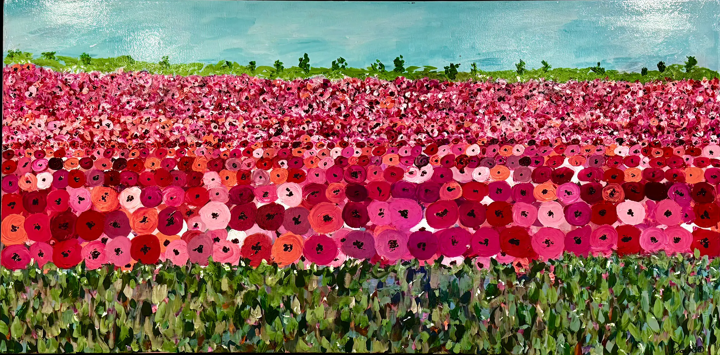 Field of Roses